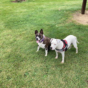 Meet your Posher, Dave